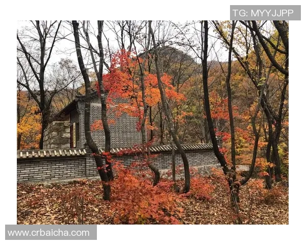 SKP篮球明星曾经光临过吗探寻他们的足迹与精彩瞬间