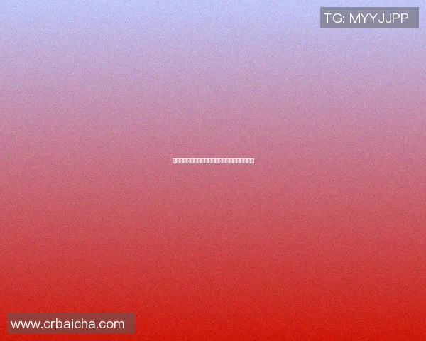 当家篮球明星的崛起之路与背后不为人知的奋斗故事 当家篮球明星的崛起之路与背后不为人知的奋斗故事